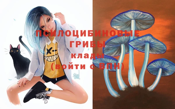 СК Балахна