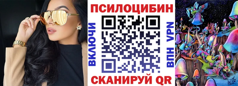 Псилоцибиновые грибы Psilocybe  Сокол 